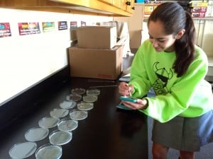 Submitted Melanie Schaefer investigates samples collect- ed off of cell phones. Her work is leading up to the science fair competition later this year.