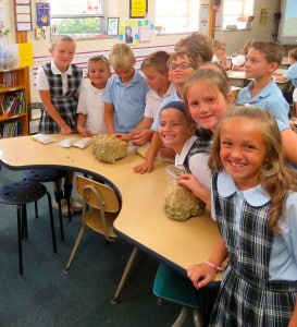 Submitted With the help of Mr. Tyler Lestock from Best Sand, third-graders (l to r) Lauren Corwin, Ethan Gambrill, Aidan Kriessler, Alex Reese, Aden Beinhardt, Benjamin Capra, Kaitlyn Samber, Alexis Doerr and Isabella Gentile inspect different types of rock and sand samples found in Northeast Ohio and learn about the ways rocks can be broken down.