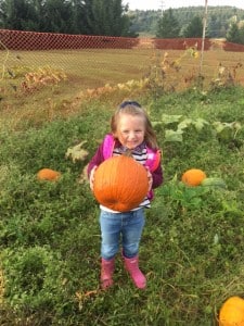 Submitted NDES preschooler Gia Ferrara picks a pumpkin from the school’s pumpkin patch.
