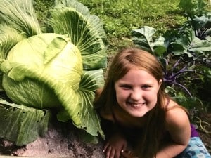 Submitted CIS student Brenna S. sits next to the cabbage plant she grew through the Bonnie Plants 3rd Grade Cabbage Program over the summer. Her actual head of cabbage measured well over a foot in diameter.