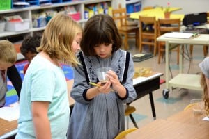Submitted First-graders Ava A. and Damia W. study a cup filled with sand to determine if its contents are considered to be living or non-living. The experiment was part of a recent science lab held in class.