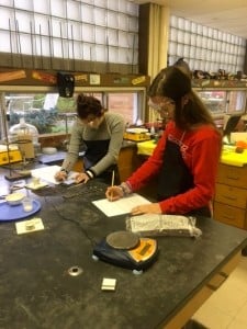 Submitted Students in Mrs. Jeanne Clark's general chemistry class at Chardon High School dig deep into chemistry while working on their findings in a empirical formula lab.