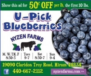 onlinead-single-nyzen